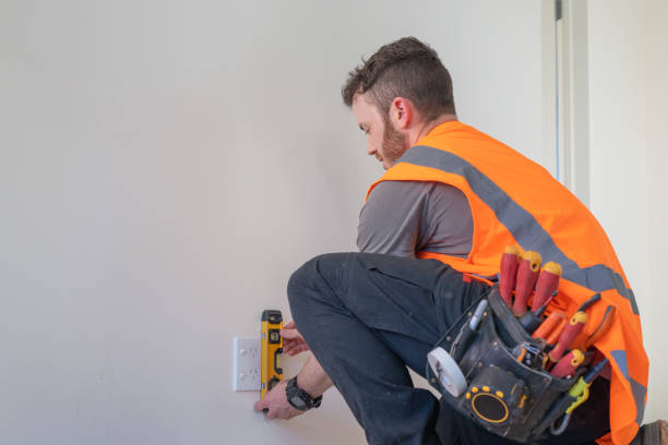 Best Electric Panel Repair  in West Little River, FL